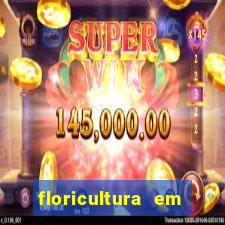 floricultura em franca sp
